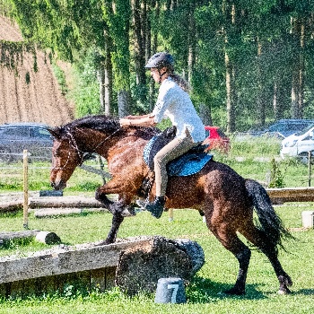 Portal Related Image