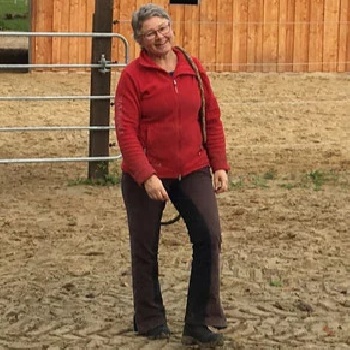 Portal Related Image