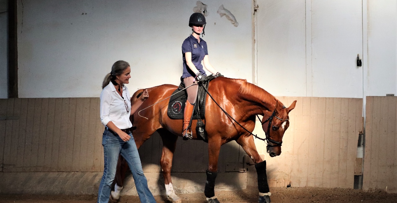 Portal Related Image