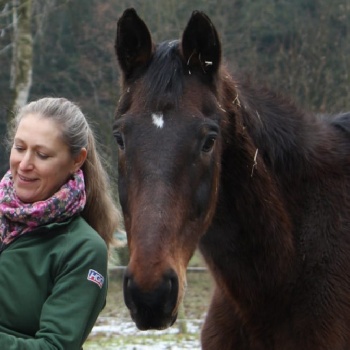 Portal Related Image