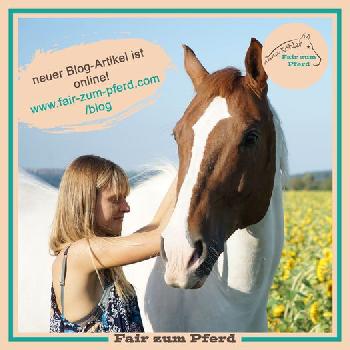  Fair zum Pferd Blog