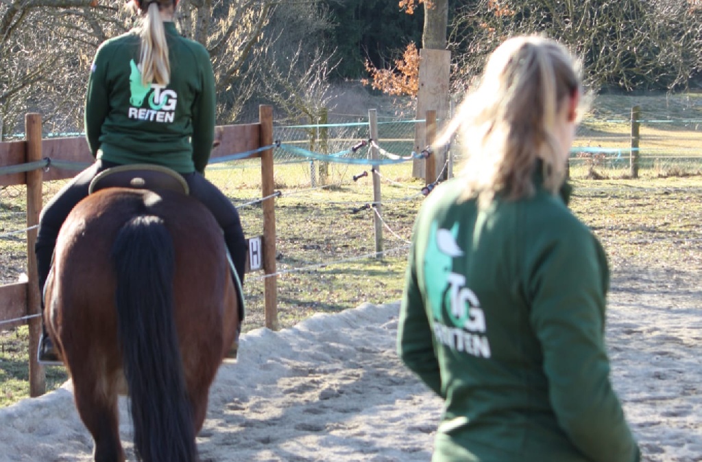 Reitunterricht, Einzelstunde 