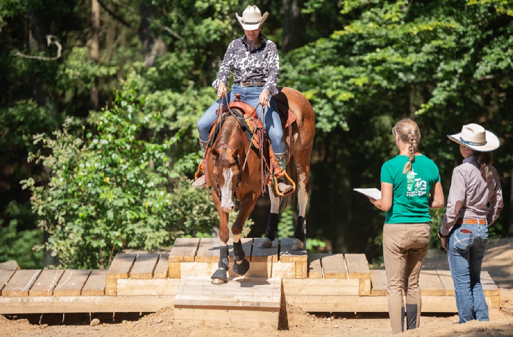 Richteranwärter EETA e.V.