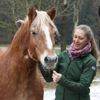 Portal Related Image