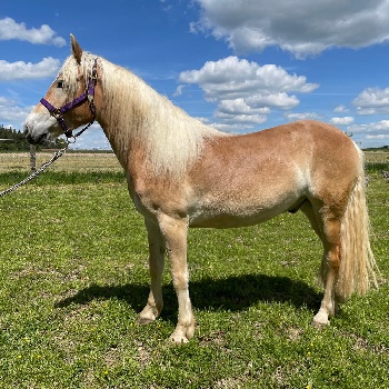 Portal Related Image