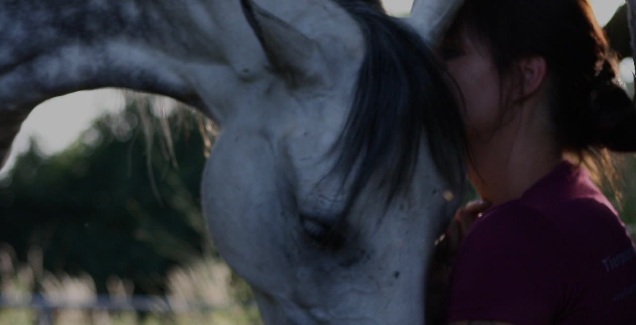 Portal Related Image