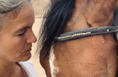 Portal Related Image