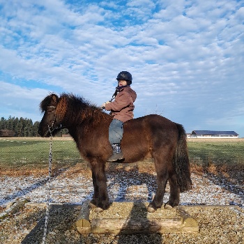 Portal Related Image