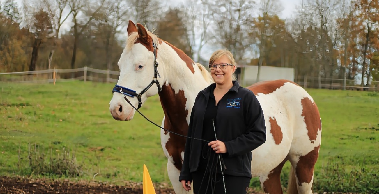 Portal Related Image