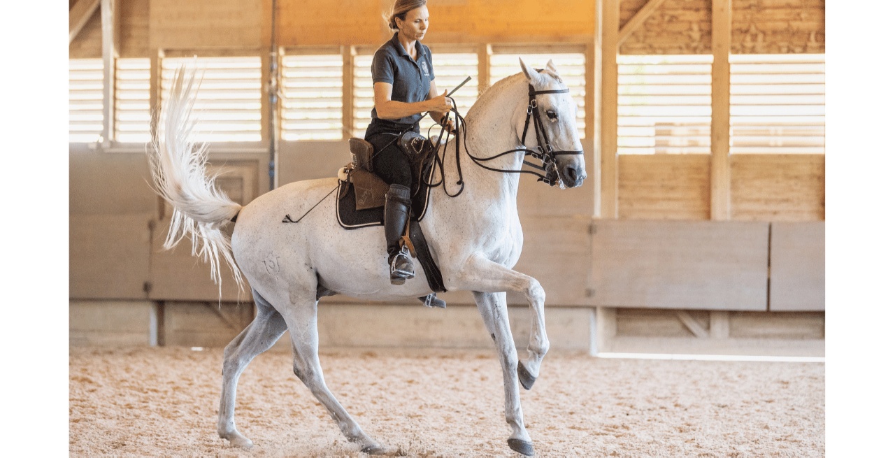 Portal Related Image