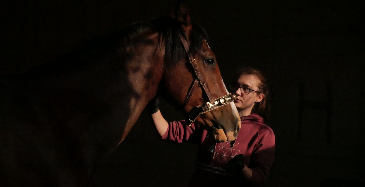 Portal Related Image