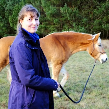 Portal Related Image