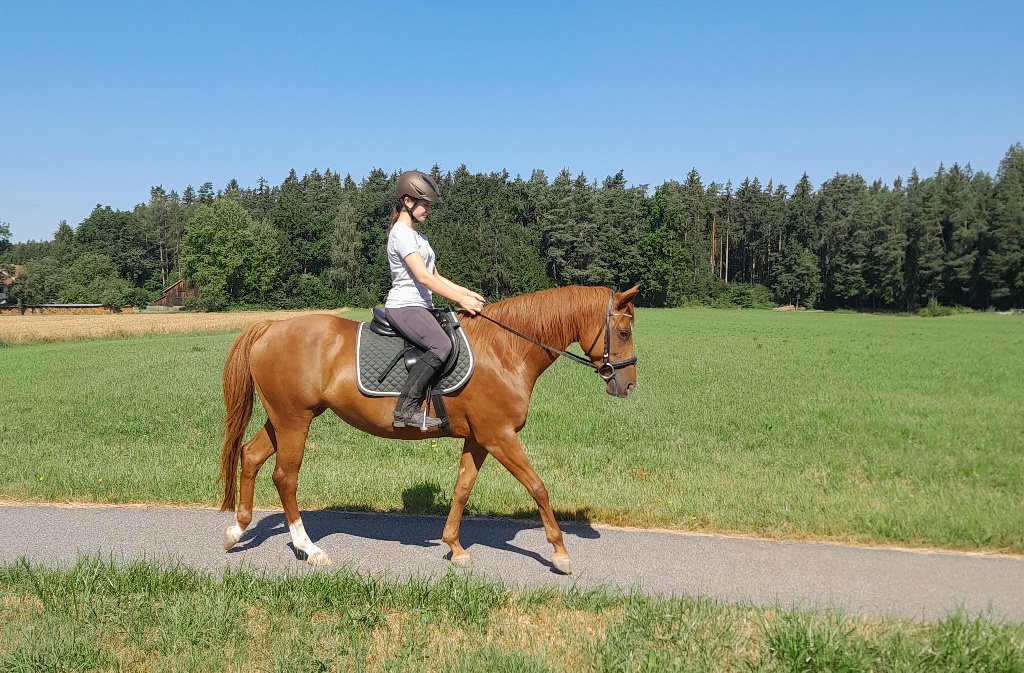 Geländetraining, Straßenverkehr 