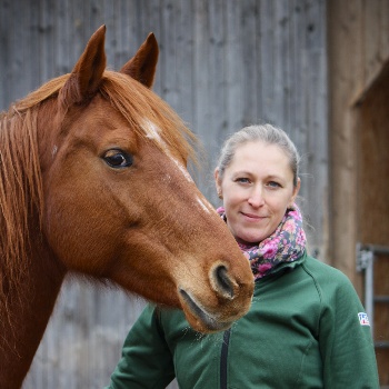 Portal Related Image