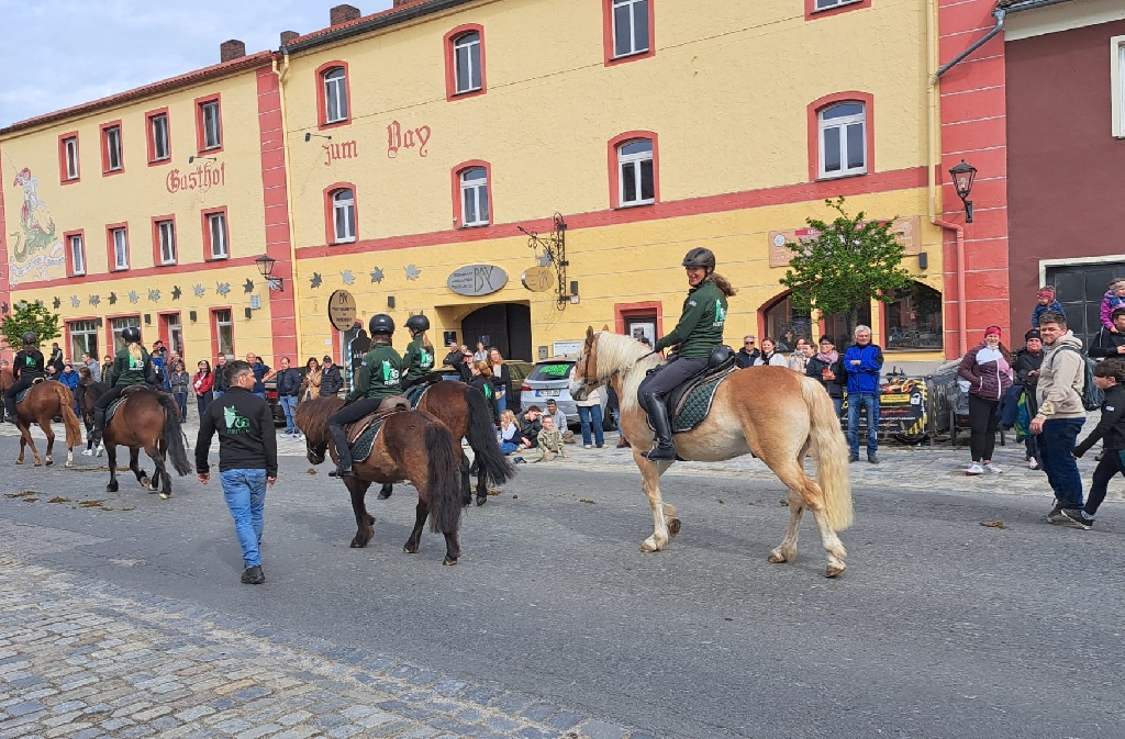 Leonhardi Ritt Furth im Wald, mit 6 Schulpferden