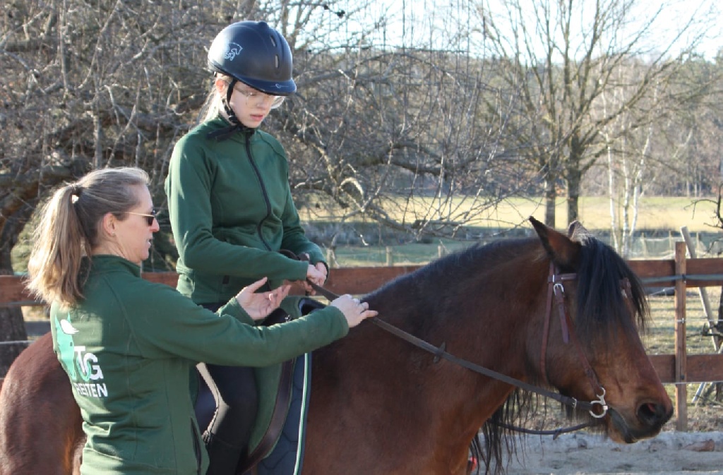 Reitunterricht, Zügelhaltung und -führung 