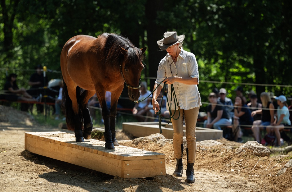 Deutsche Meisterschaften EXTRME TRAIL