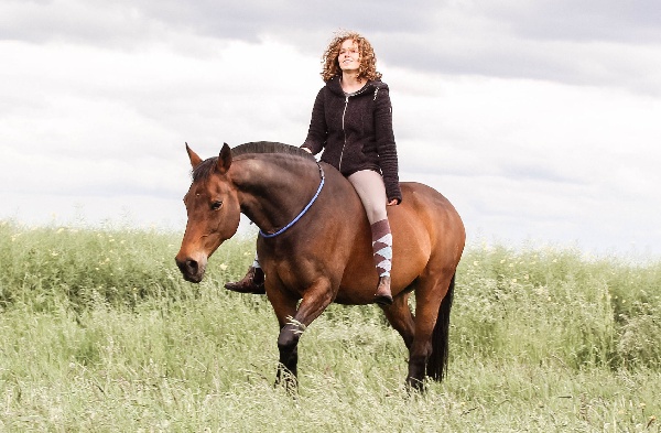 Portal Related Image