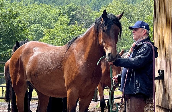 Portal Related Image