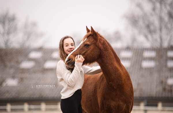 Portal Related Image