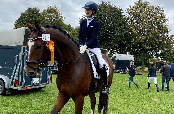 Portal Related Image