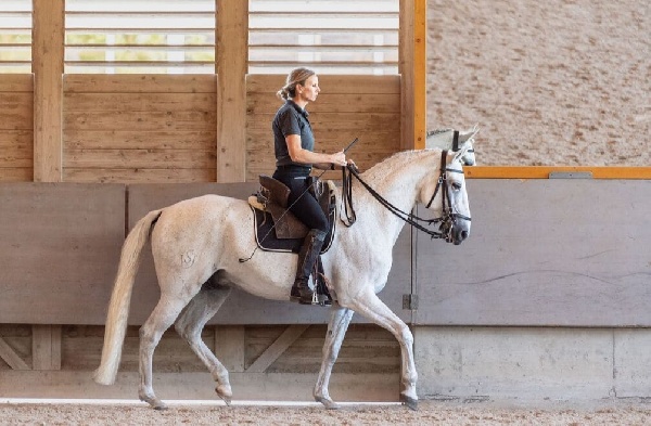 Portal Related Image