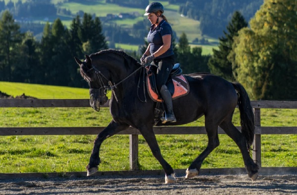 Portal Related Image