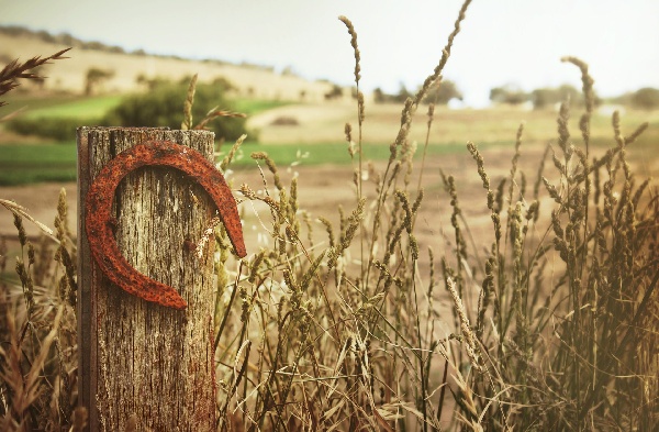 Portal Related Image