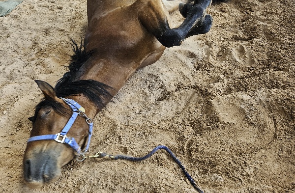 Portal Related Image