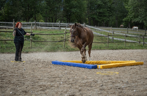 Portal Related Image