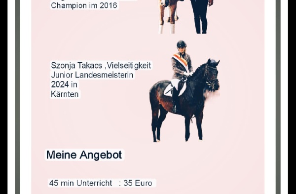 Portal Related Image