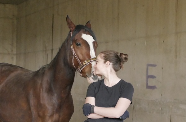 Portal Related Image