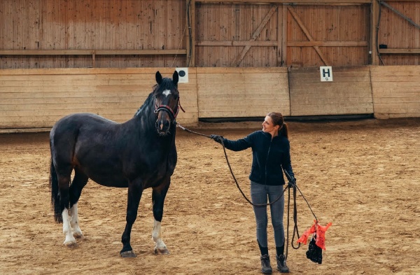 Portal Related Image