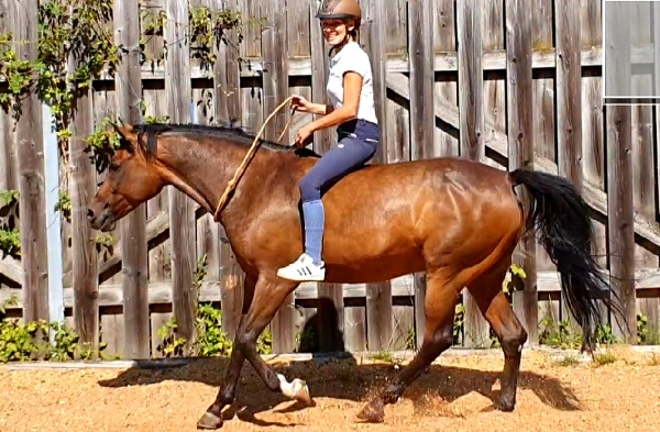 Portal Related Image