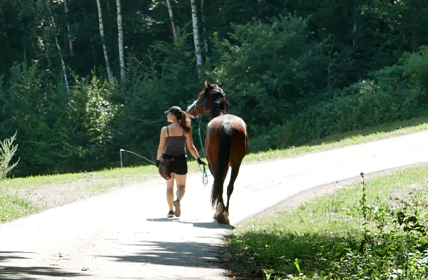 Portal Related Image