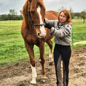 Portal Related Image