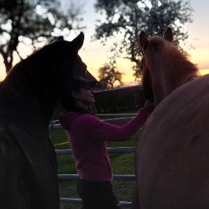 Portal Related Image