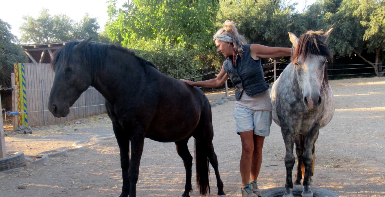 Portal Related Image