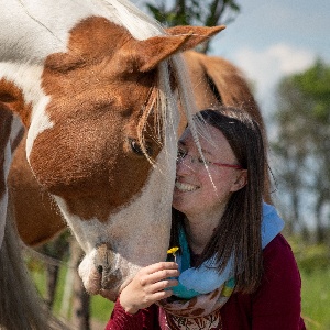 Portal Related Image