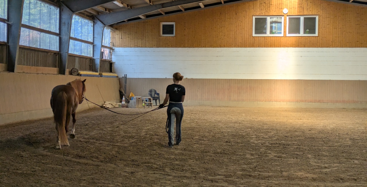 Portal Related Image