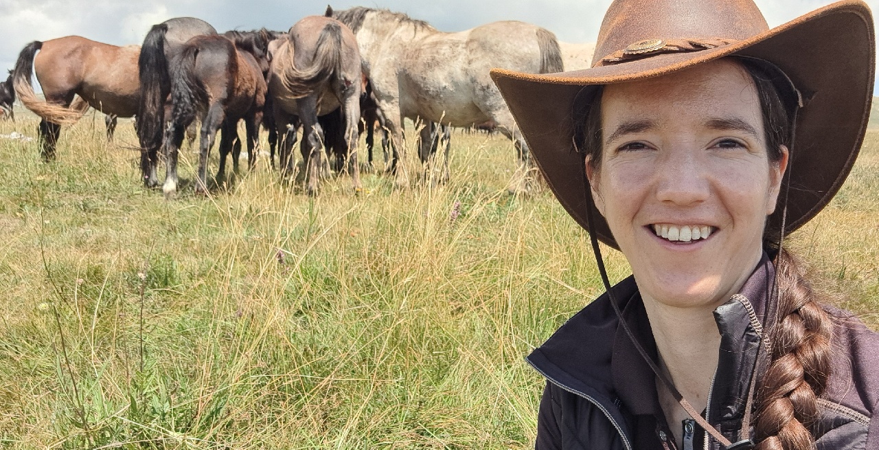 Portal Related Image