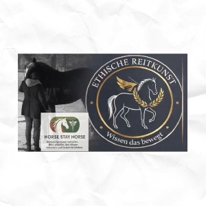 Portal Related Image