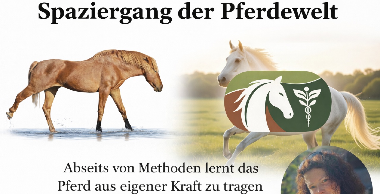 Portal Related Image