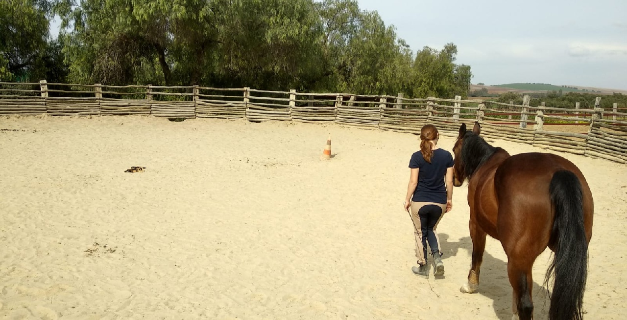 Portal Related Image