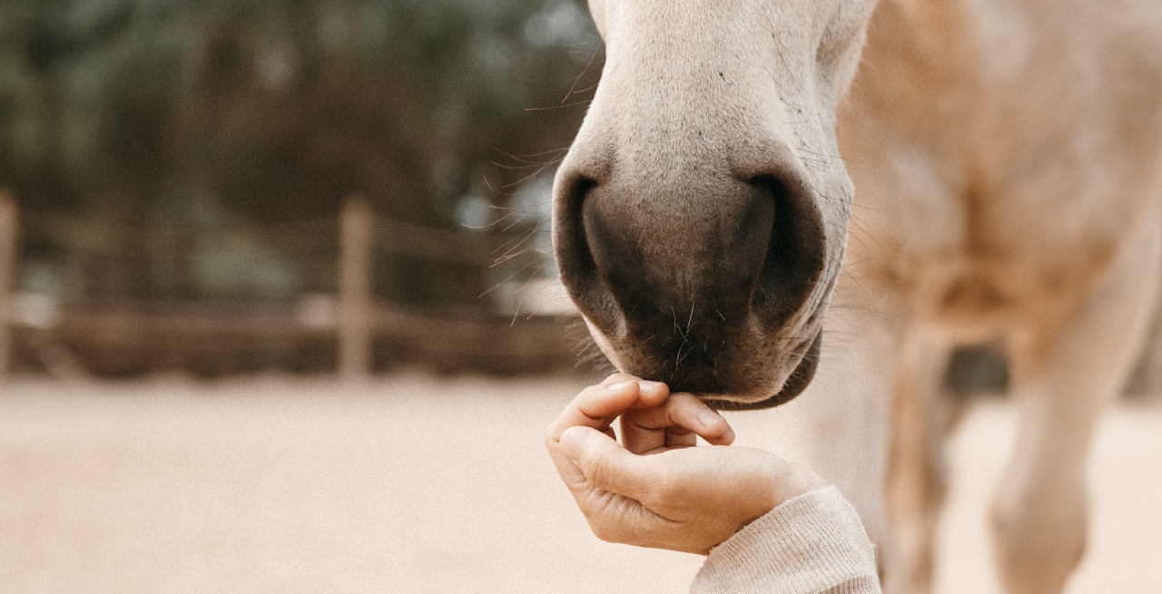 Portal Related Image