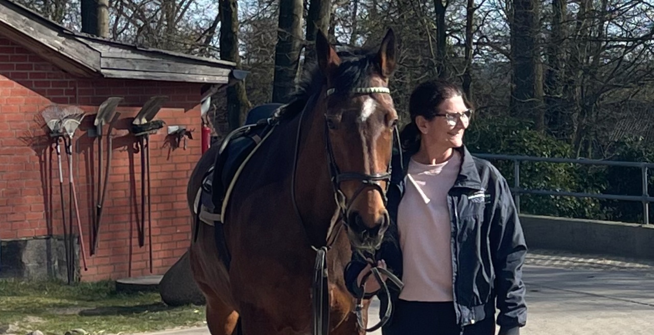 Portal Related Image