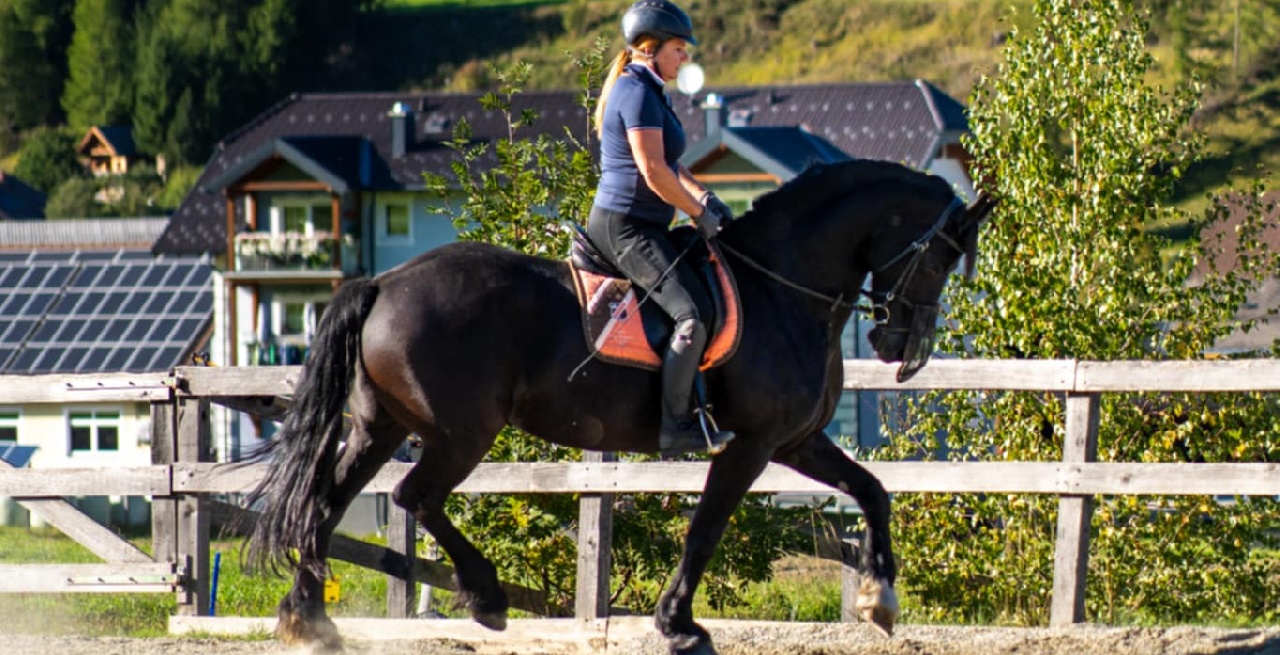 Portal Related Image