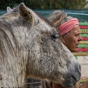 Portal Related Image