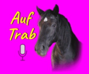 Portal Related Image