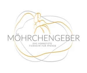 Portal Related Image